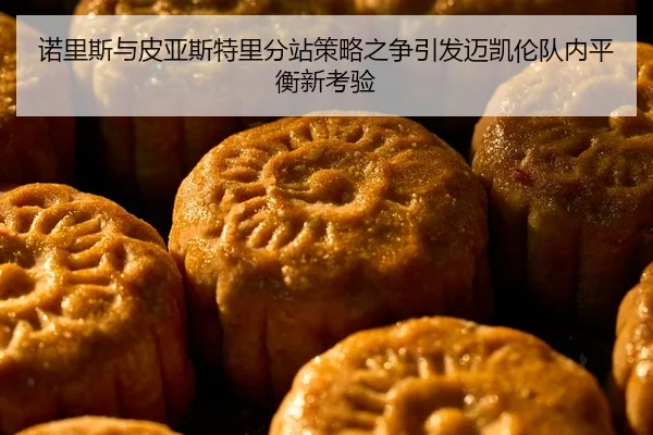 诺里斯与皮亚斯特里分站策略之争引发迈凯伦队内平衡新考验