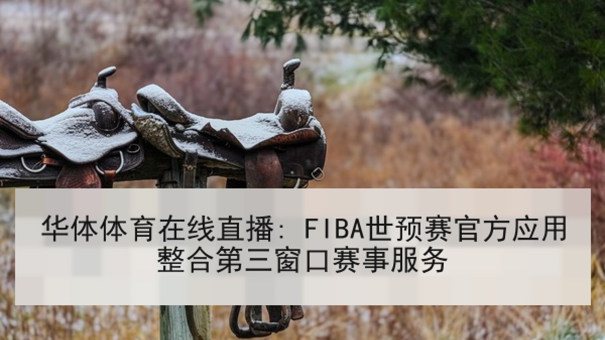 华体体育在线直播: FIBA世预赛官方应用整合第三窗口赛事服务