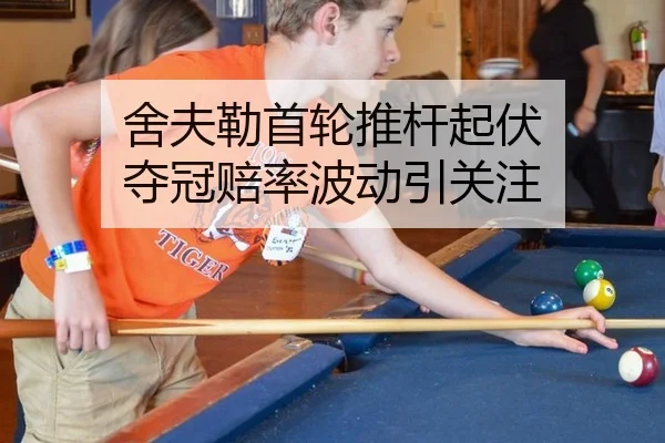 she-fu-lei-shou-lun-tui-gan-qi-fu-duo-guan-pei-lv-bo-dong-yin-guan-zhu-2-803.jpg