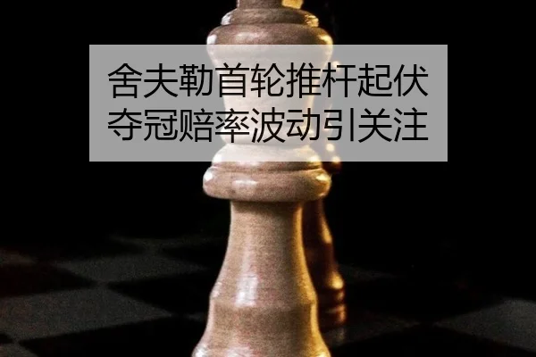 she-fu-lei-shou-lun-tui-gan-qi-fu-duo-guan-pei-lv-bo-dong-yin-guan-zhu-3-123.jpg