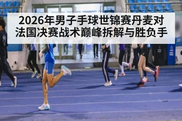 2026年男子手球世锦赛丹麦对法国决赛战术巅峰拆解与胜负手